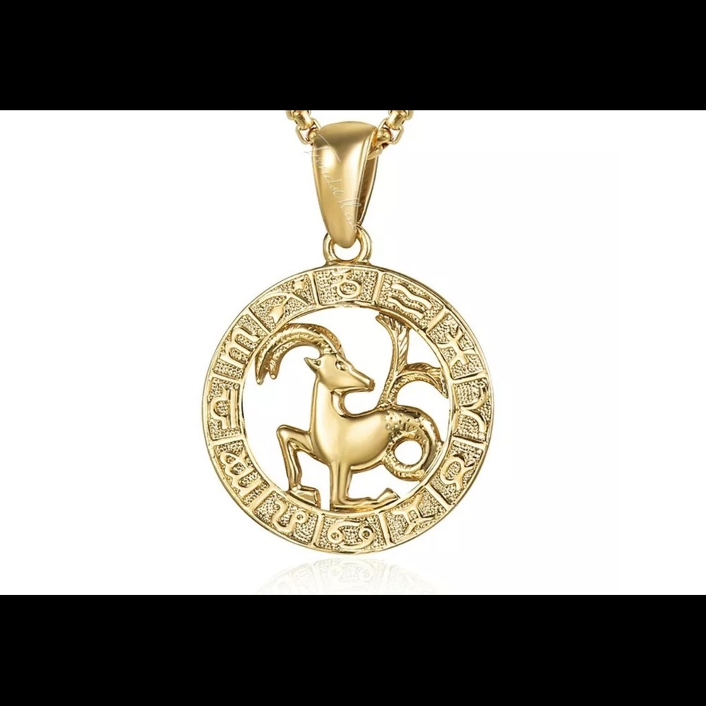 Capricorn Zodiac Sign Gold Filled 18” Necklace